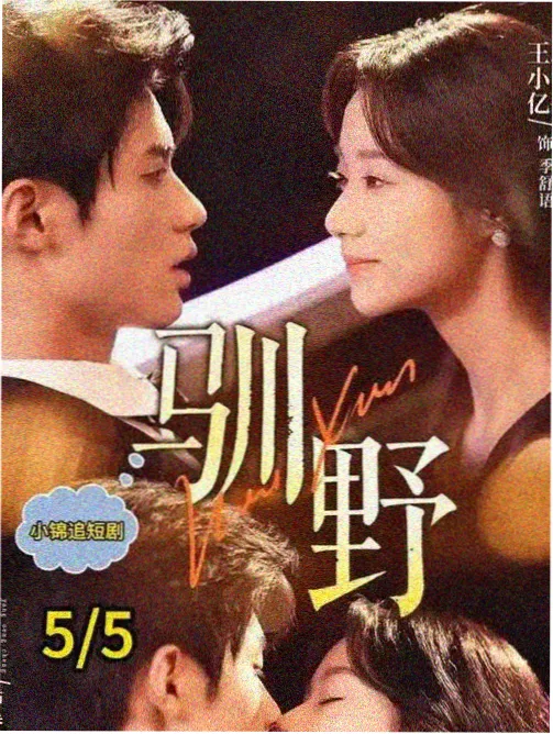 大时代剧集封面